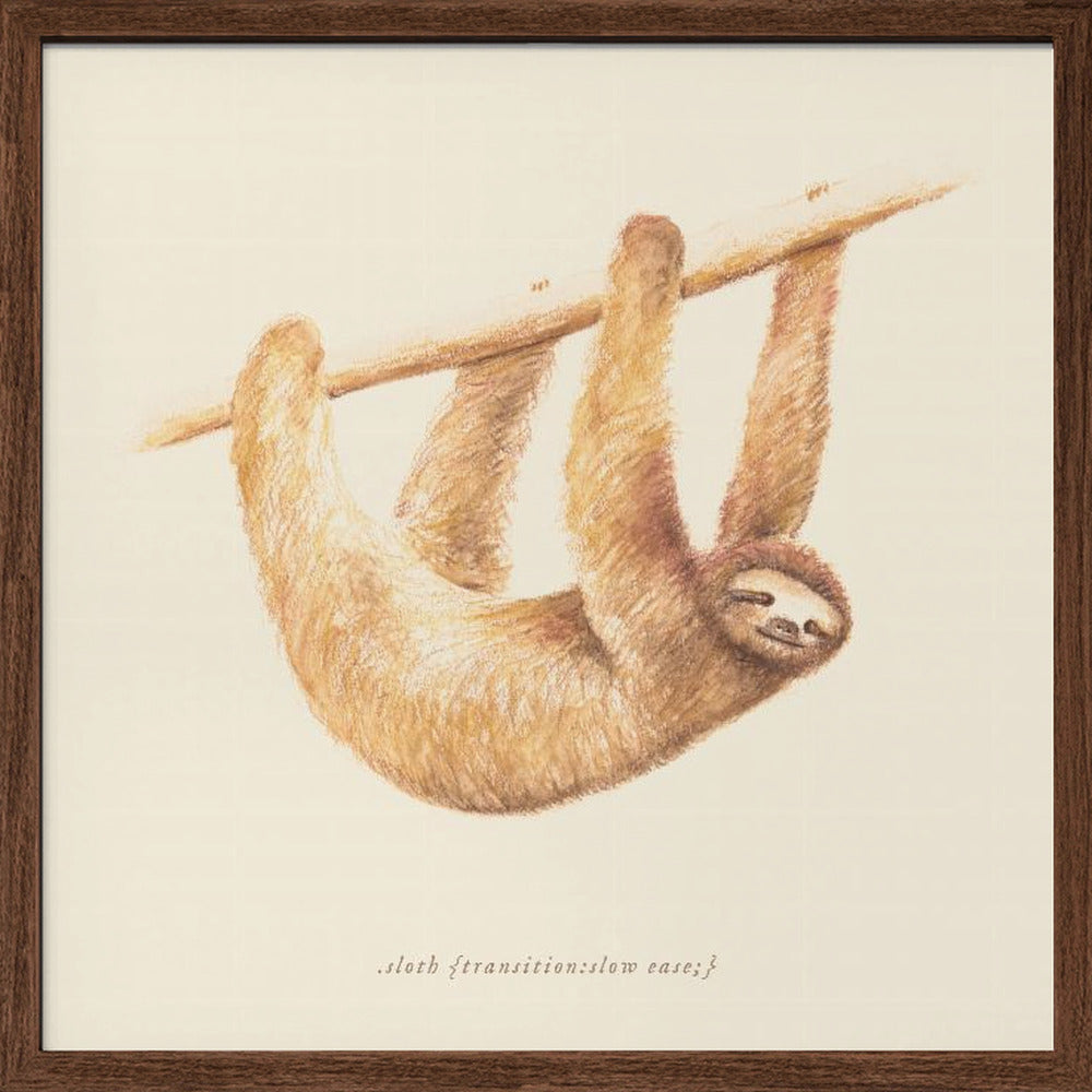 Css Animals   Sloth Poster