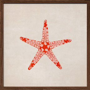 Sea Star Poster