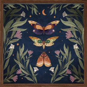 Butterfly Night Fly Poster