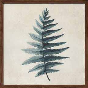 Teal watercolor fern 5 Poster