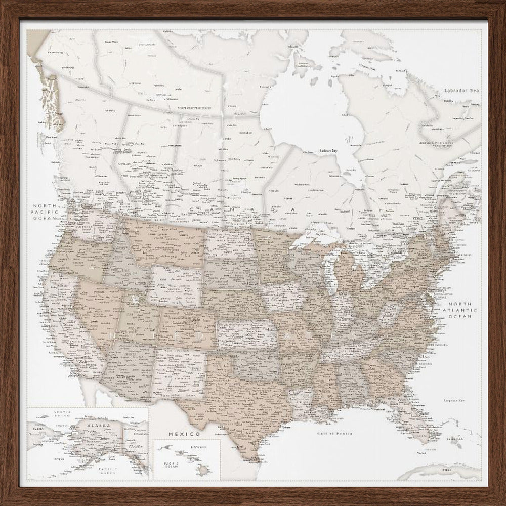 Highly detailed map of the United States, Louie Poster