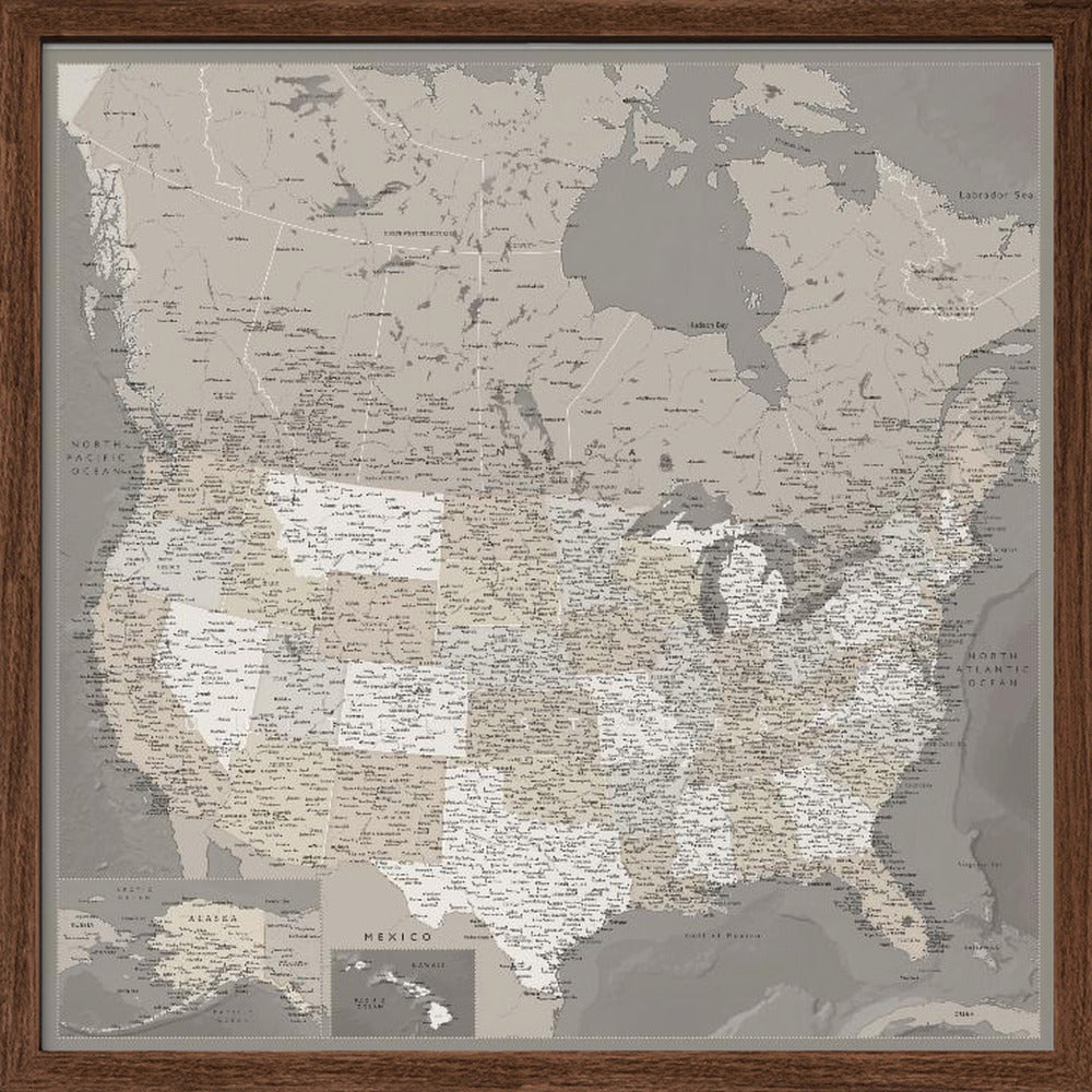 Highly detailed map of the United States, Davey Poster