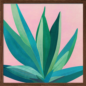 Colorful Agave 4 Poster