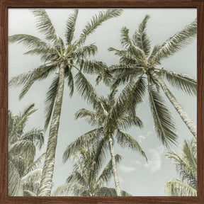 Lovely Vintage Palm Trees Poster