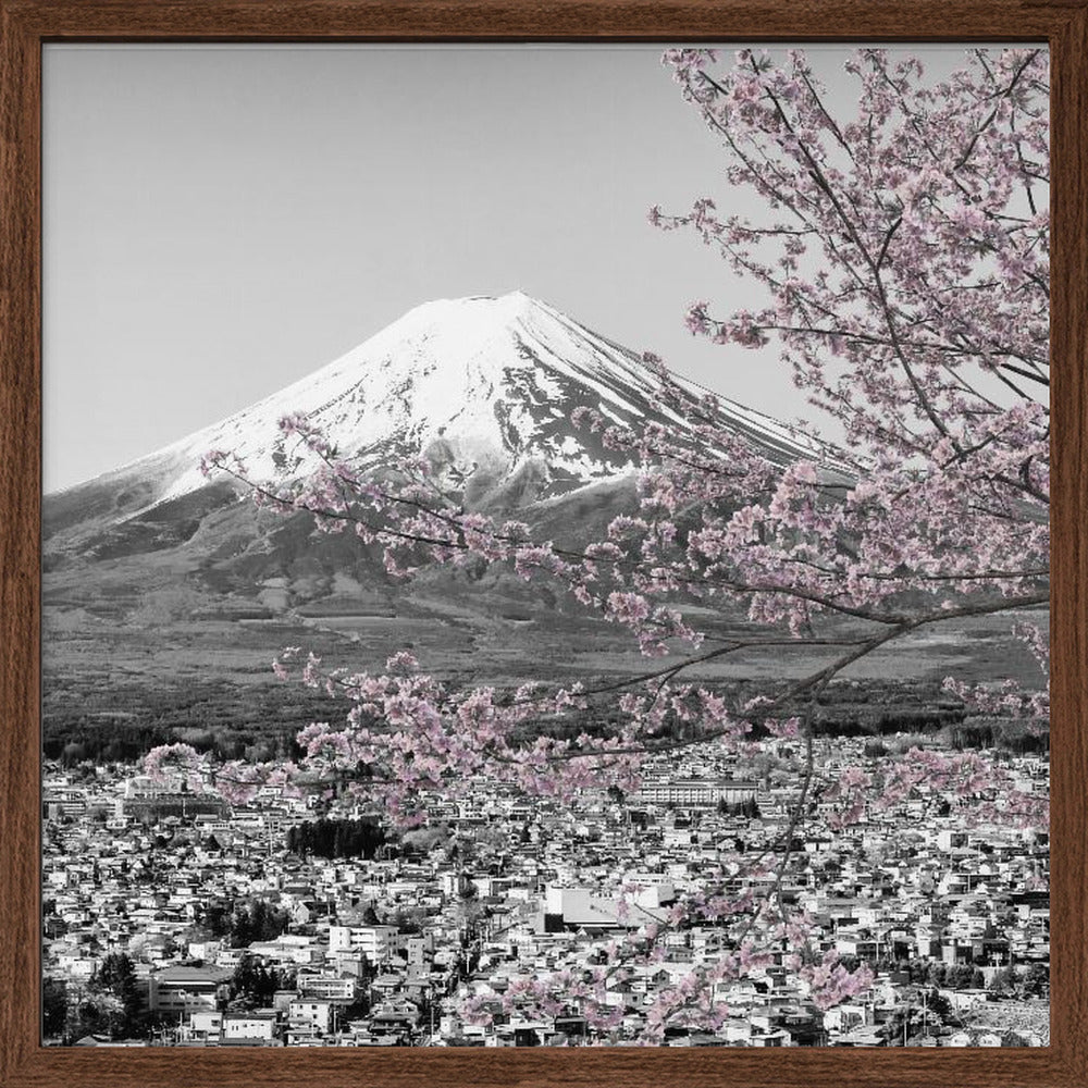 Charming view of Mount Fuji during cherry blossom season - colorkey Poster