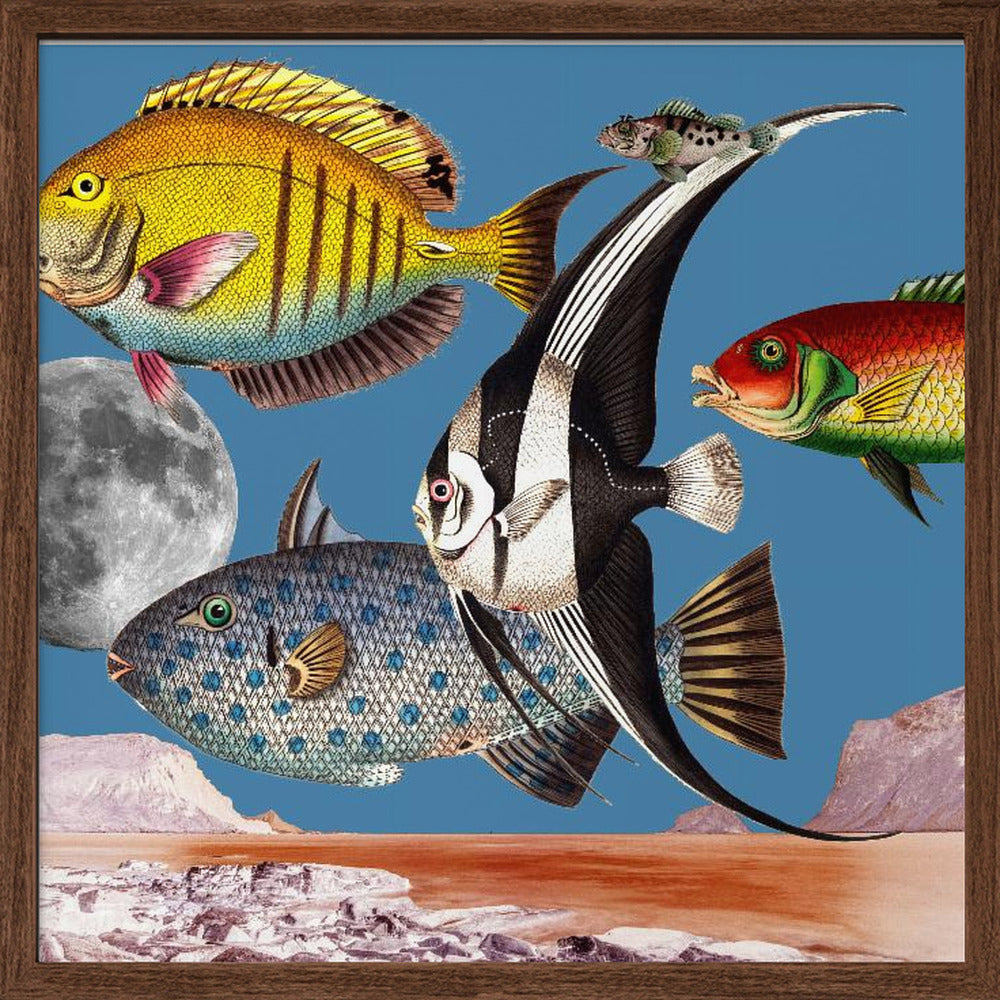 Fish World Blue - Digital Collage Poster