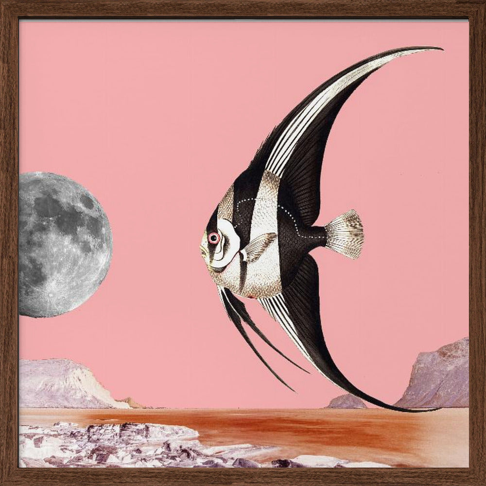 Plenty of Fish In the Sea Pink - Surreal Collage Poster