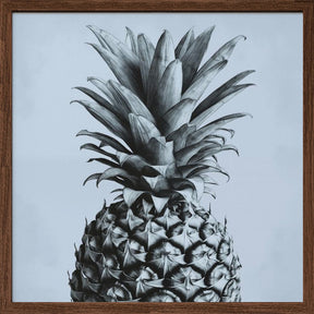 Pineapple Poster