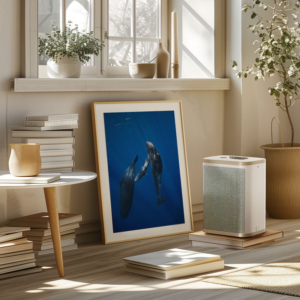 Sperm whale family Poster