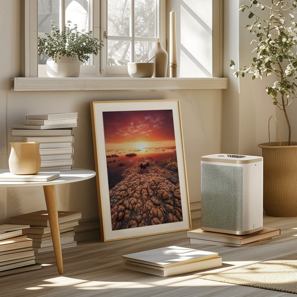 Low tide on the lagoon of Saint Leu. Poster