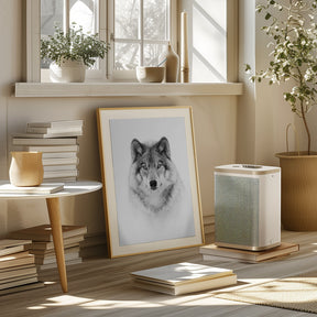 Portrait of a Timber Wolf Poster