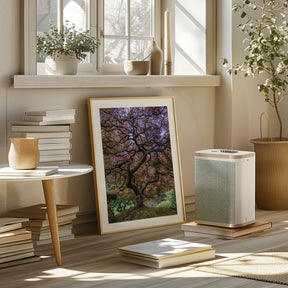 Japanese Maple Tree Poster