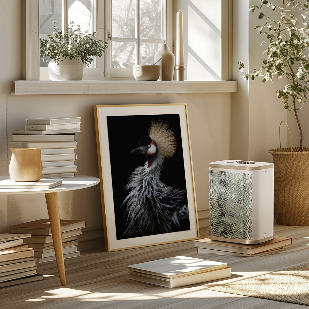 Crowned crane's portrait Poster