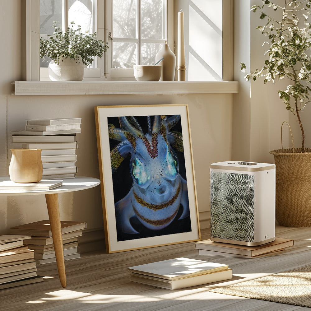 Squid close up Poster