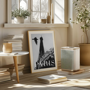 Paris Dove Poster