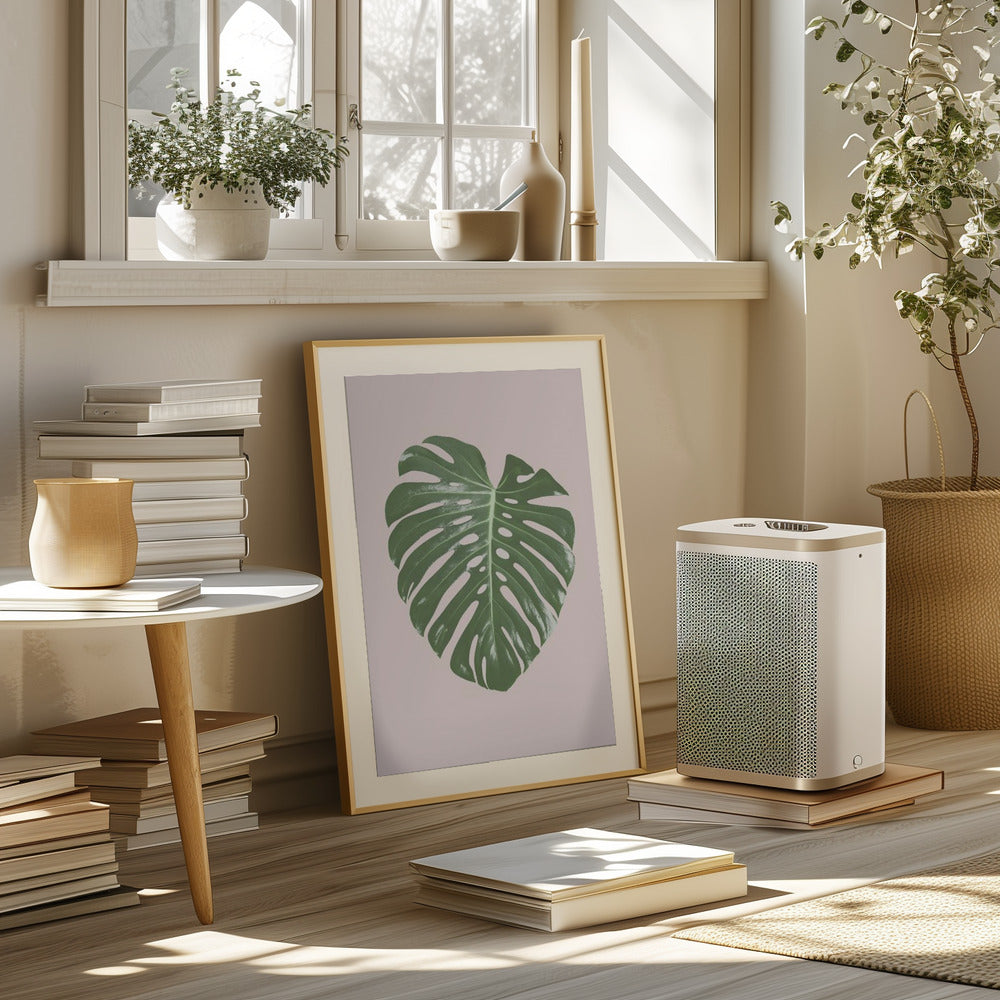 Monstera Leaf Blush Poster