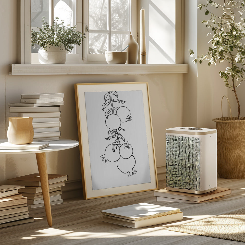 Branch of pomegranates Poster