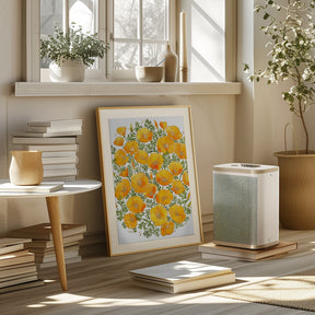 Gold accented California poppies Poster