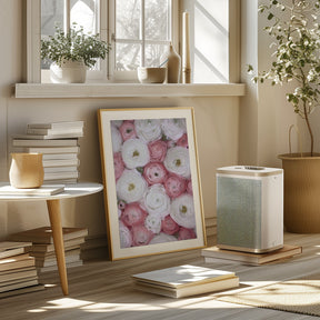 Scattered ranunculus in muted pink I Poster