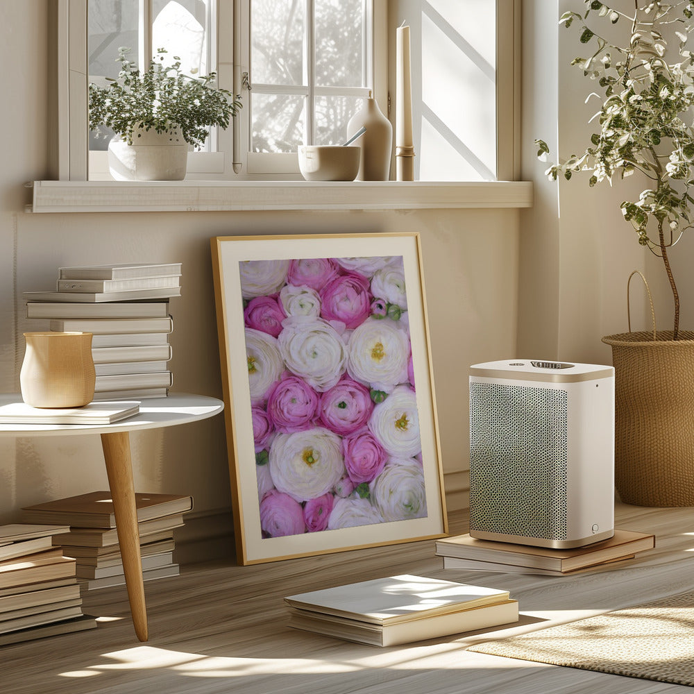 Scattered ranunculus in pink I Poster