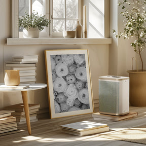 Scattered ranunculus grayscale I Poster