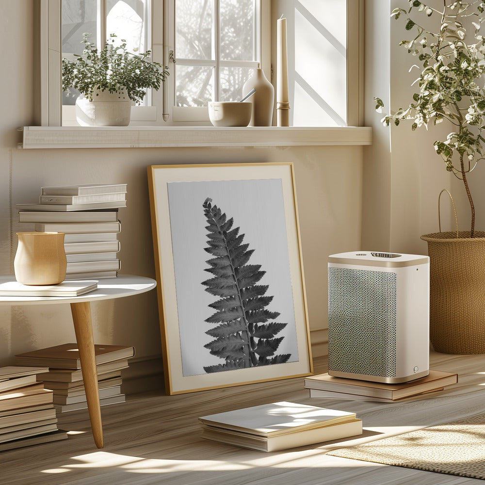 Gray fern leaf Poster