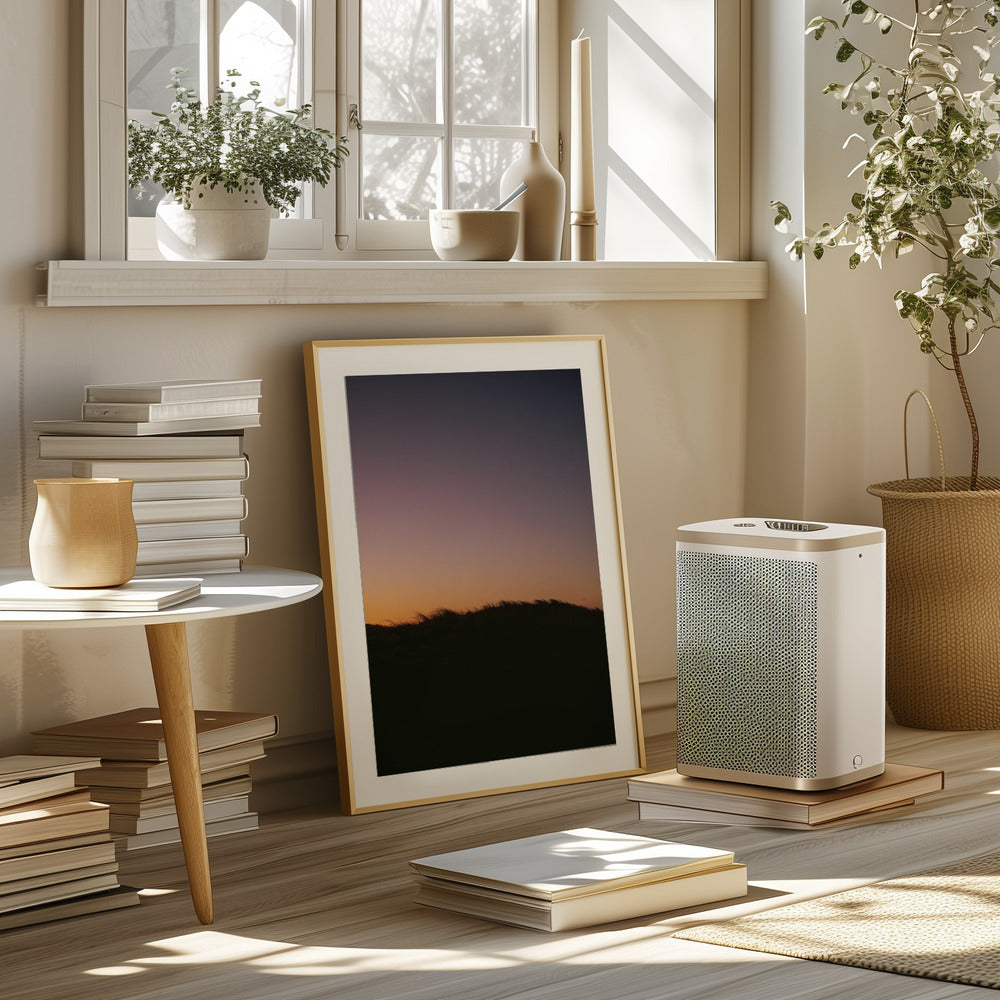 Dune Grass Sunset Poster