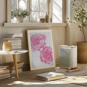 Sally's peonies Poster