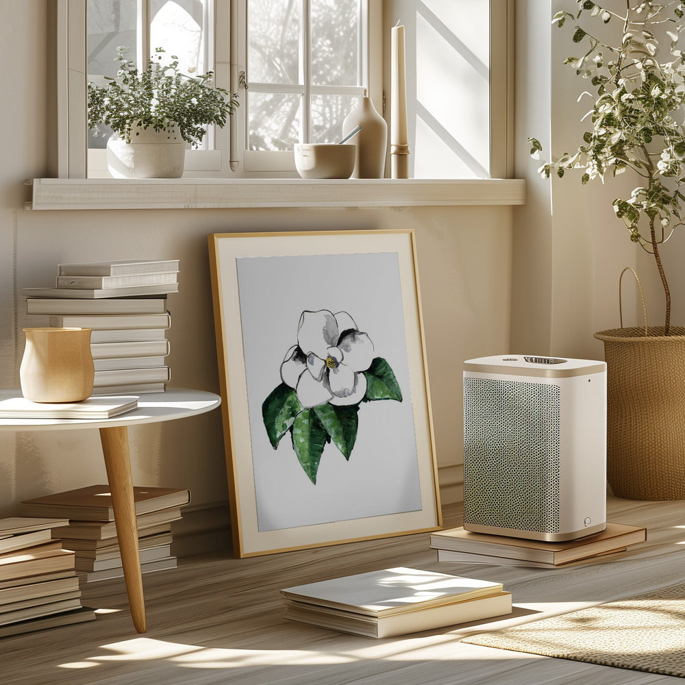 White magnolia Poster