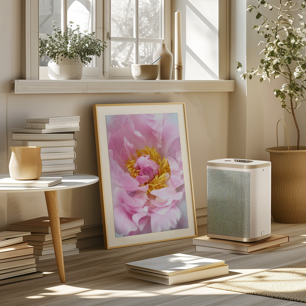 Pink peony I Poster