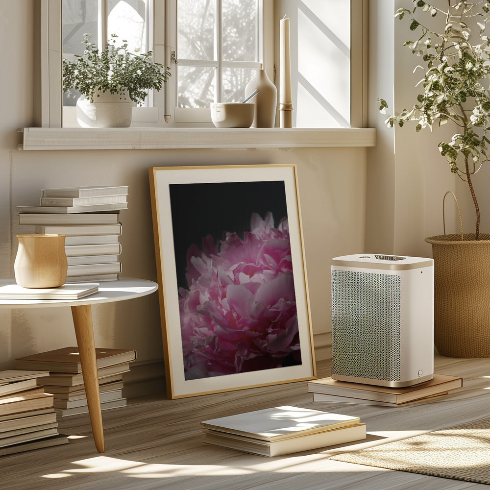 Moody pink peony I Poster