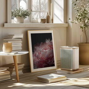 Moody blush peony I Poster