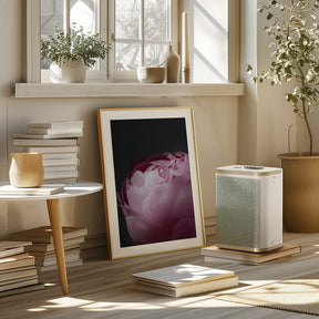 Moody pink peony II Poster