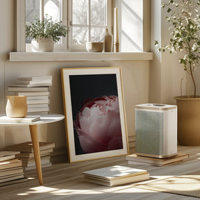 Moody blush peony II Poster