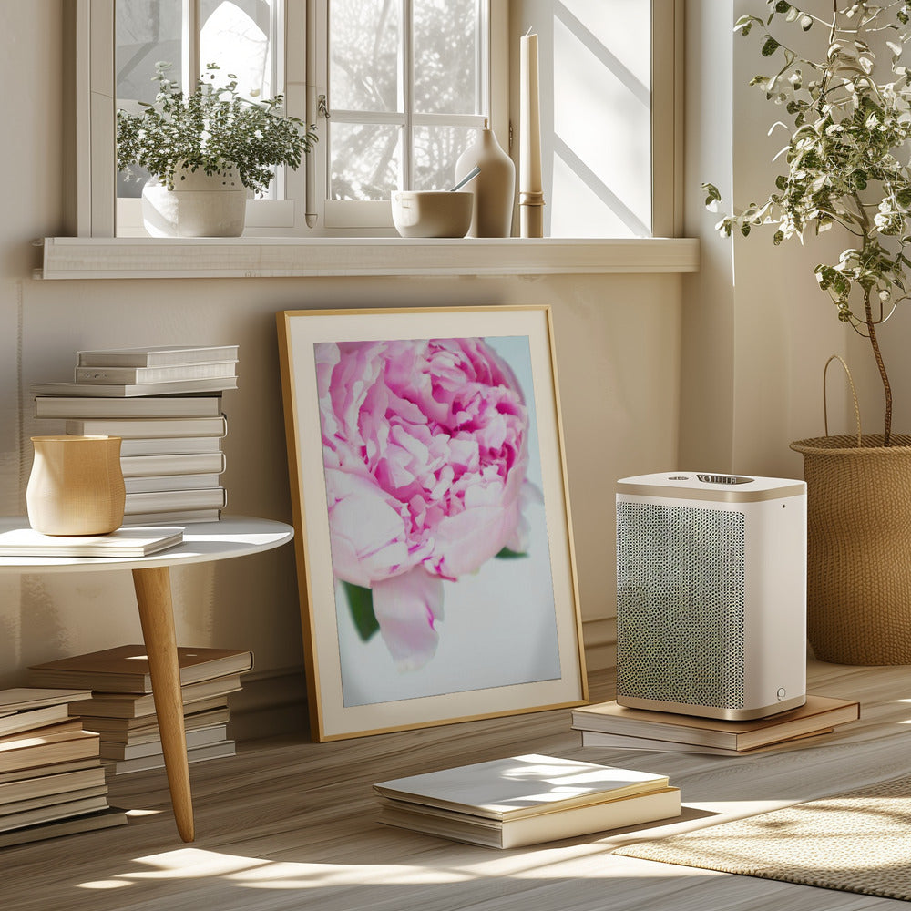 Pink peony VII Poster