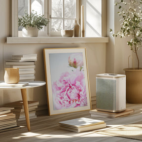 Pink peony IX Poster