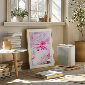 Pink peony X Poster