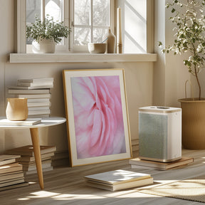 Soft pink petals Poster