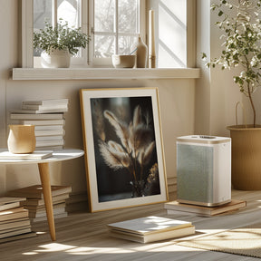 Pampas Grass In Sunlight Poster