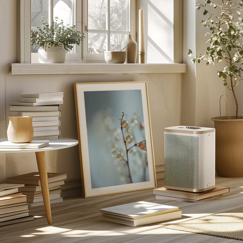 Glassy Berries Poster