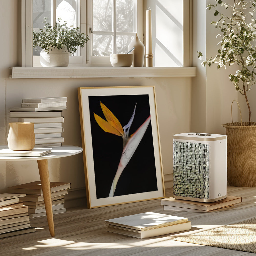 Bird of Paradise Poster