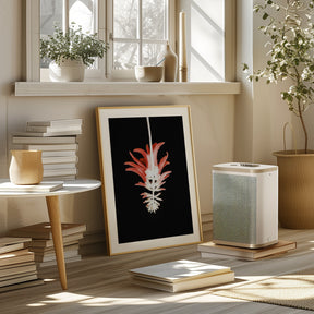 Coral Tree Flower Poster