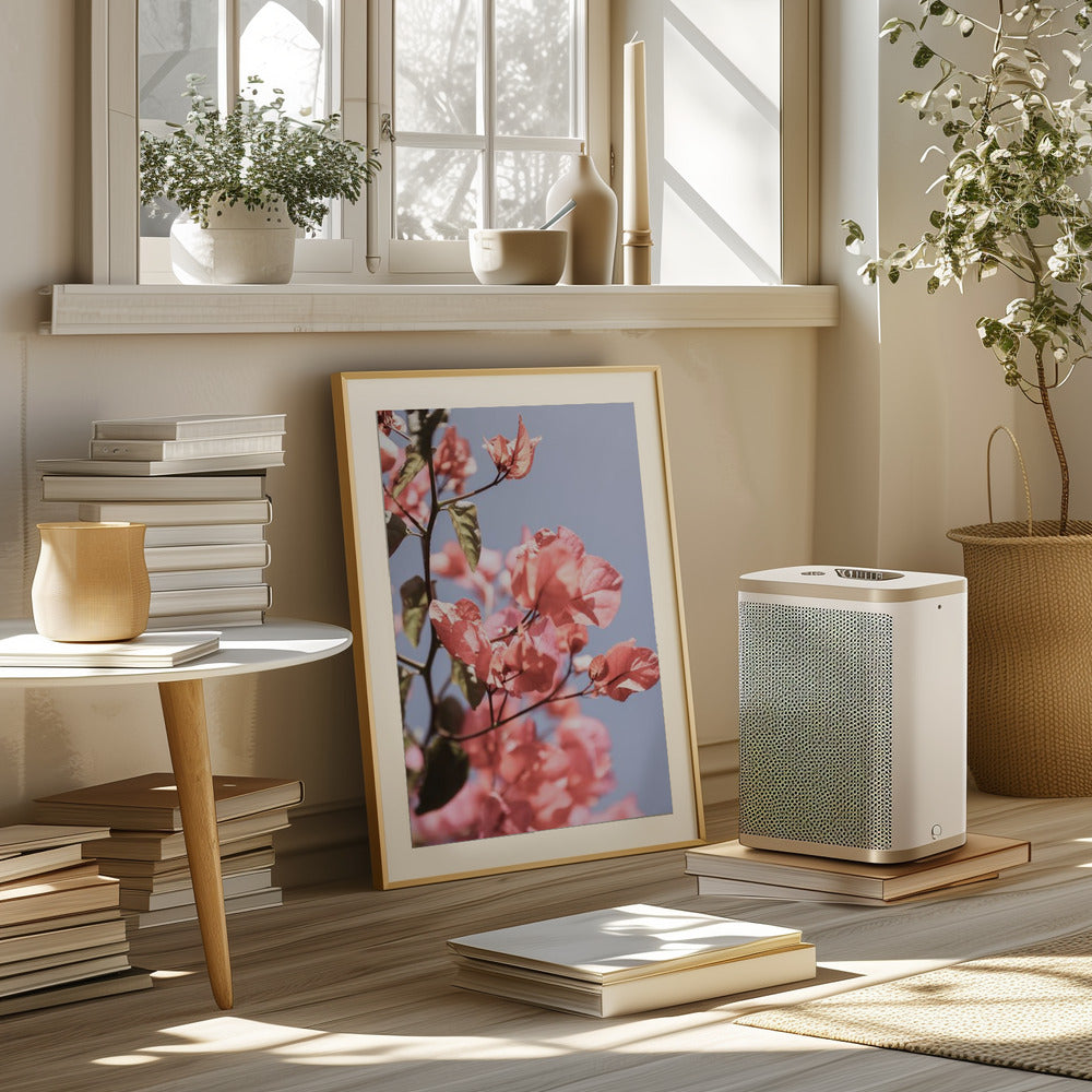 Island Bloom 02 Poster