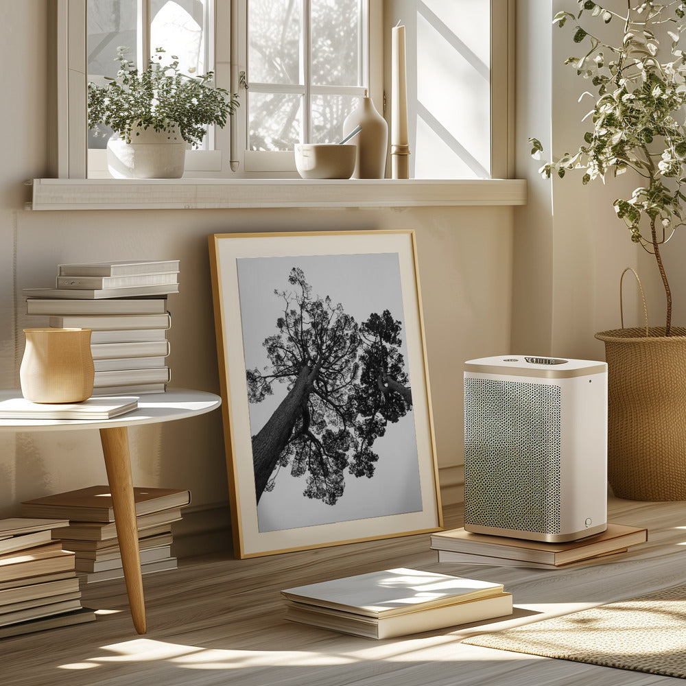 Japanese Garden 02 Poster