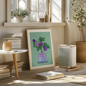 Figs Branch In Vase Poster