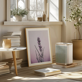 Pastel Lavender Poster