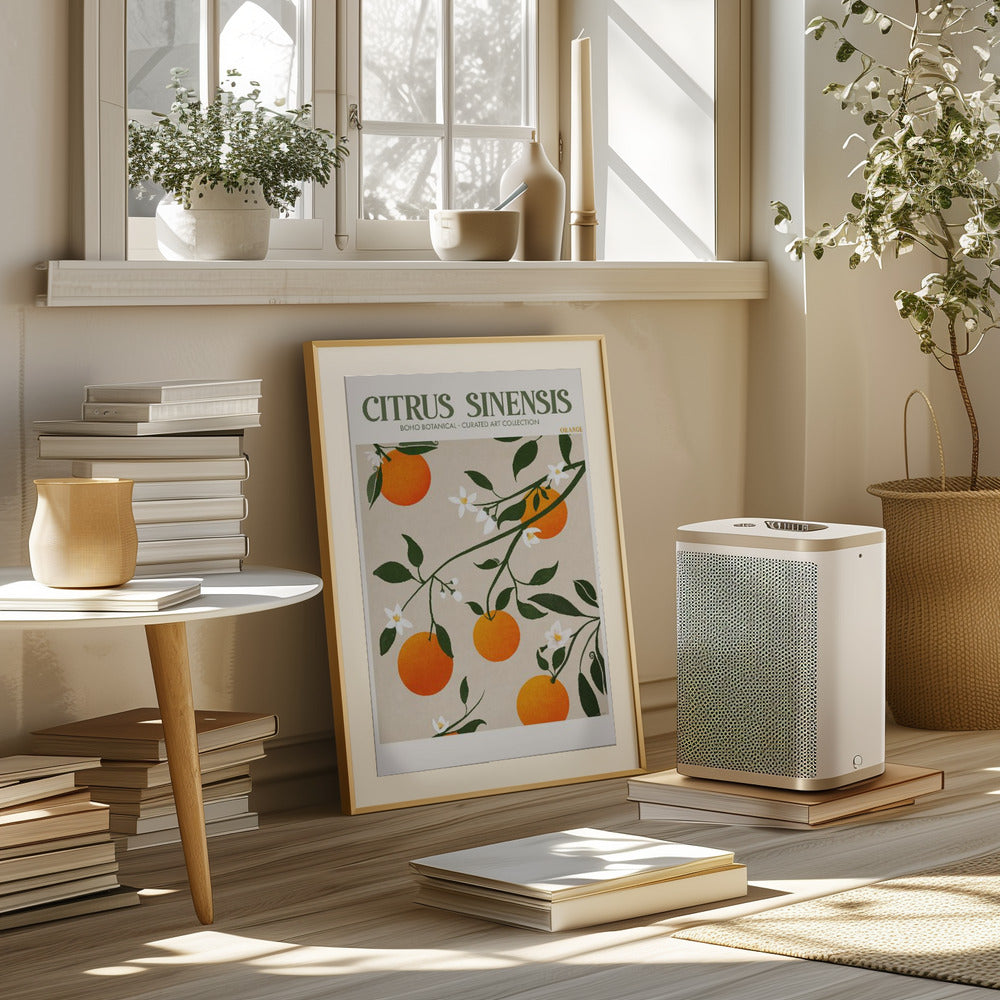 Citrus Sinensis - Orange Poster