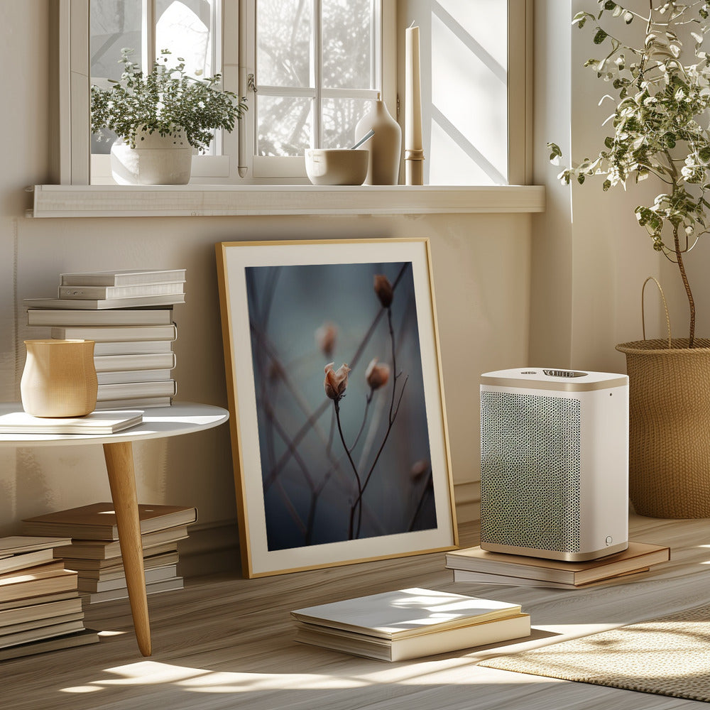 Awakening Beauty Poster