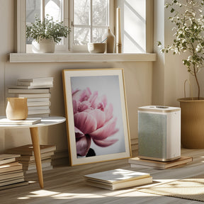 Peony 1 Poster