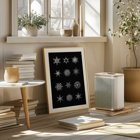 Twelve geometric snowflakes in black Poster